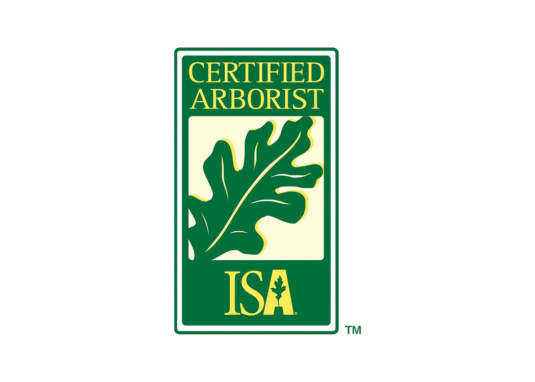 ISA Certified Arborist